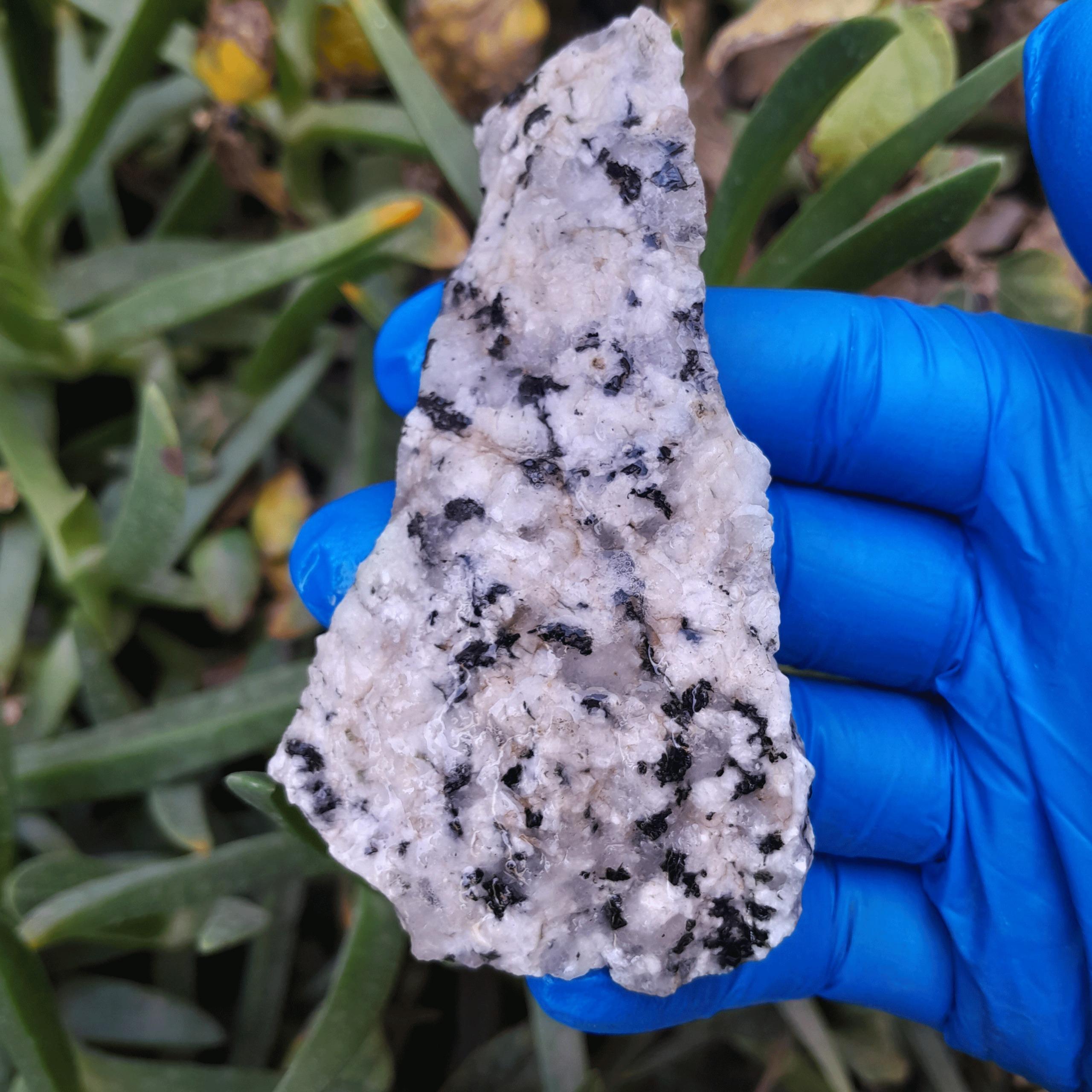 راف بستر گارنت قهوه ای