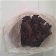 تعداد