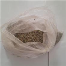 تعداد