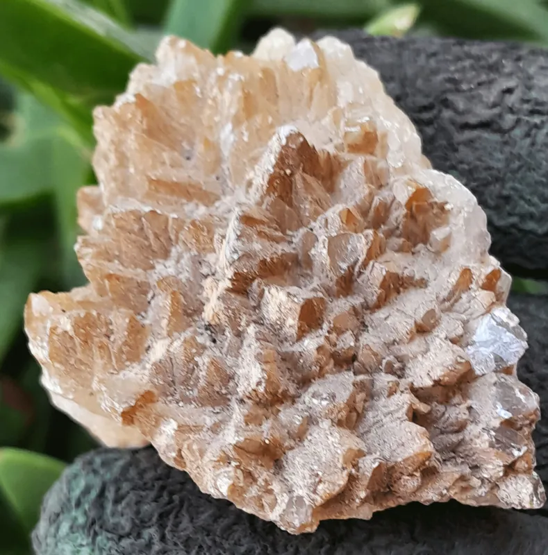 راف تزینی زرد زیبا( تقریبا 5 در 5 سانت)