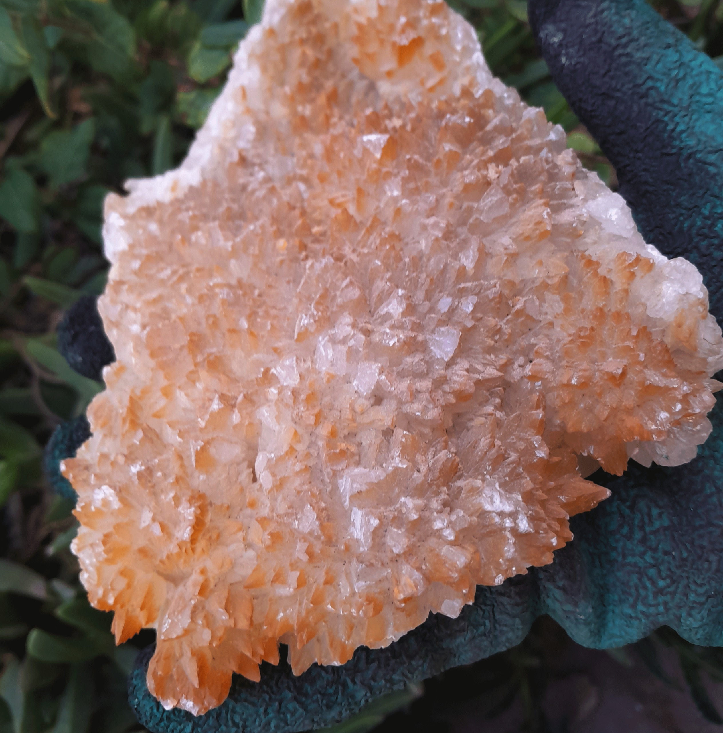 کوارتز نارنجی شاخه دار بزرگ بدون تکرار ( 790 گرم)