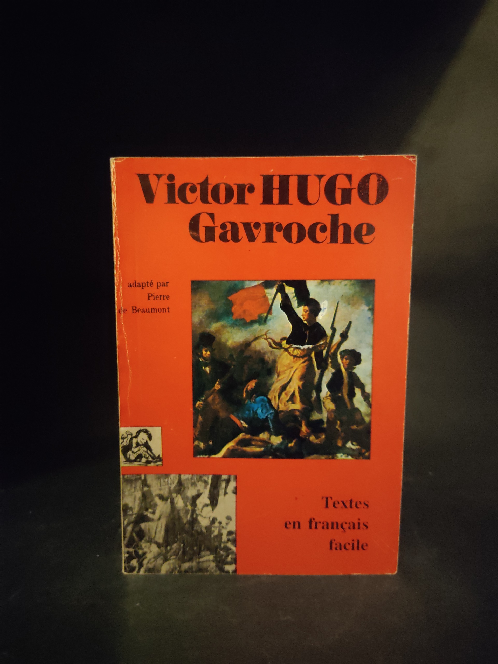 Gavroche VictorHugoگاوروش بینوایان هوگو فرانسه