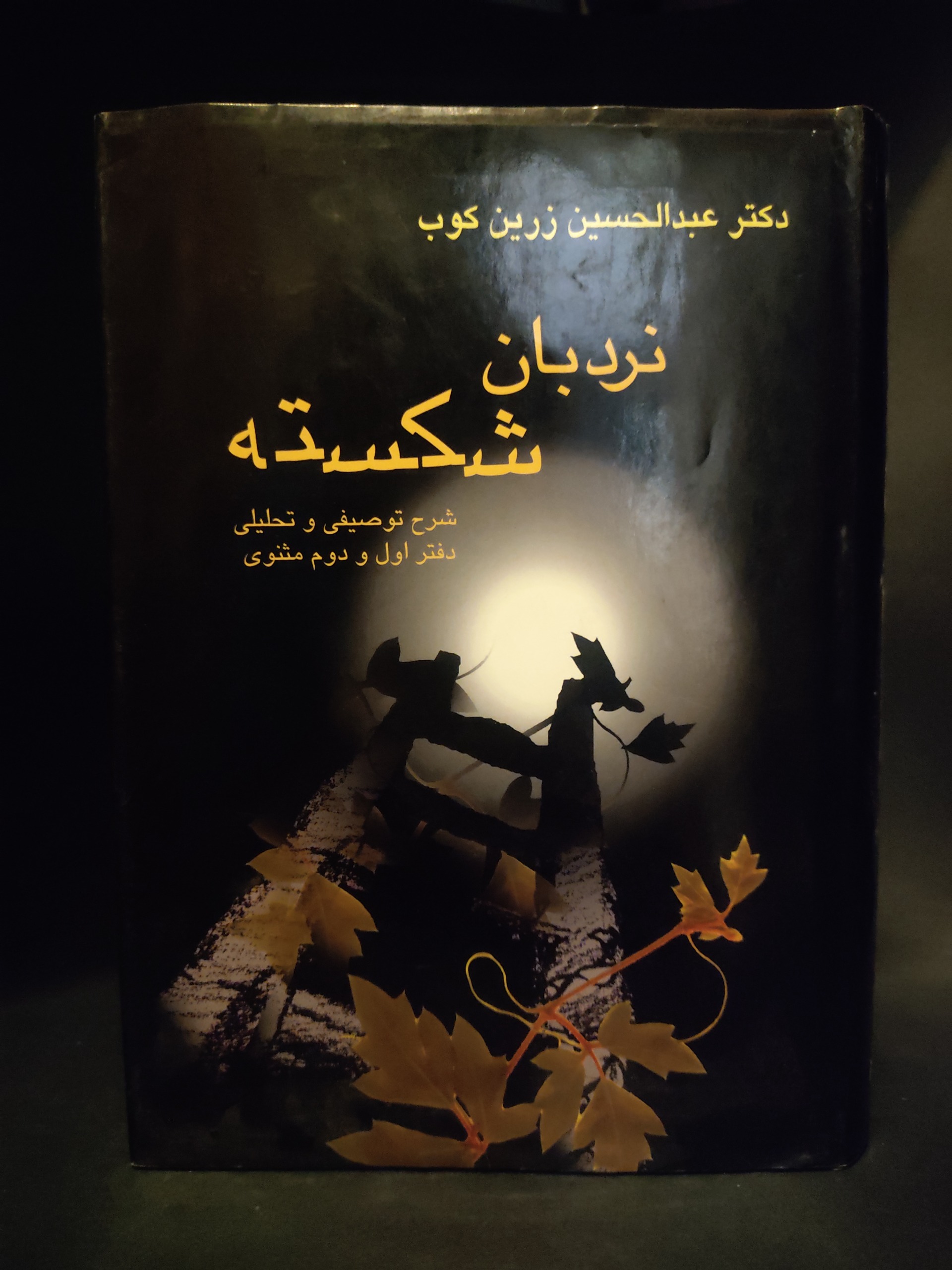 نردبان شکسته عبدالحسین زرینکوب (تفسیر مثنوی)