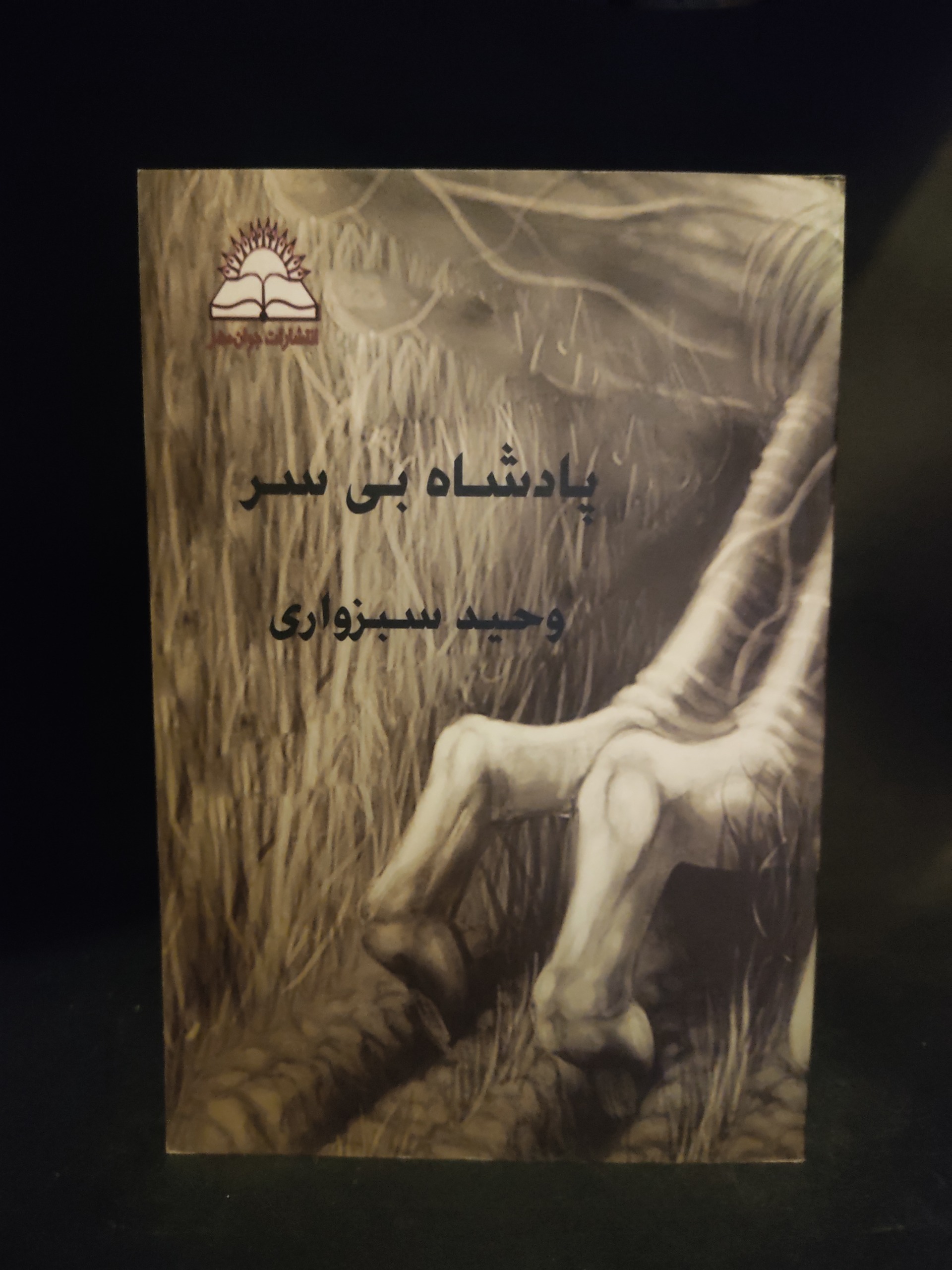 پادشاه بی سر ، وحید سبزواری ، رمان تاریخی تخیلی