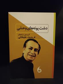 دشت