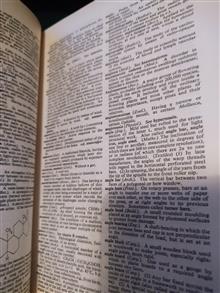 Dictionary