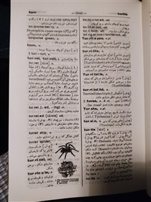فرهنگ