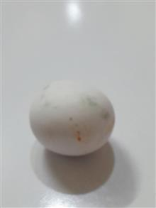 الماس