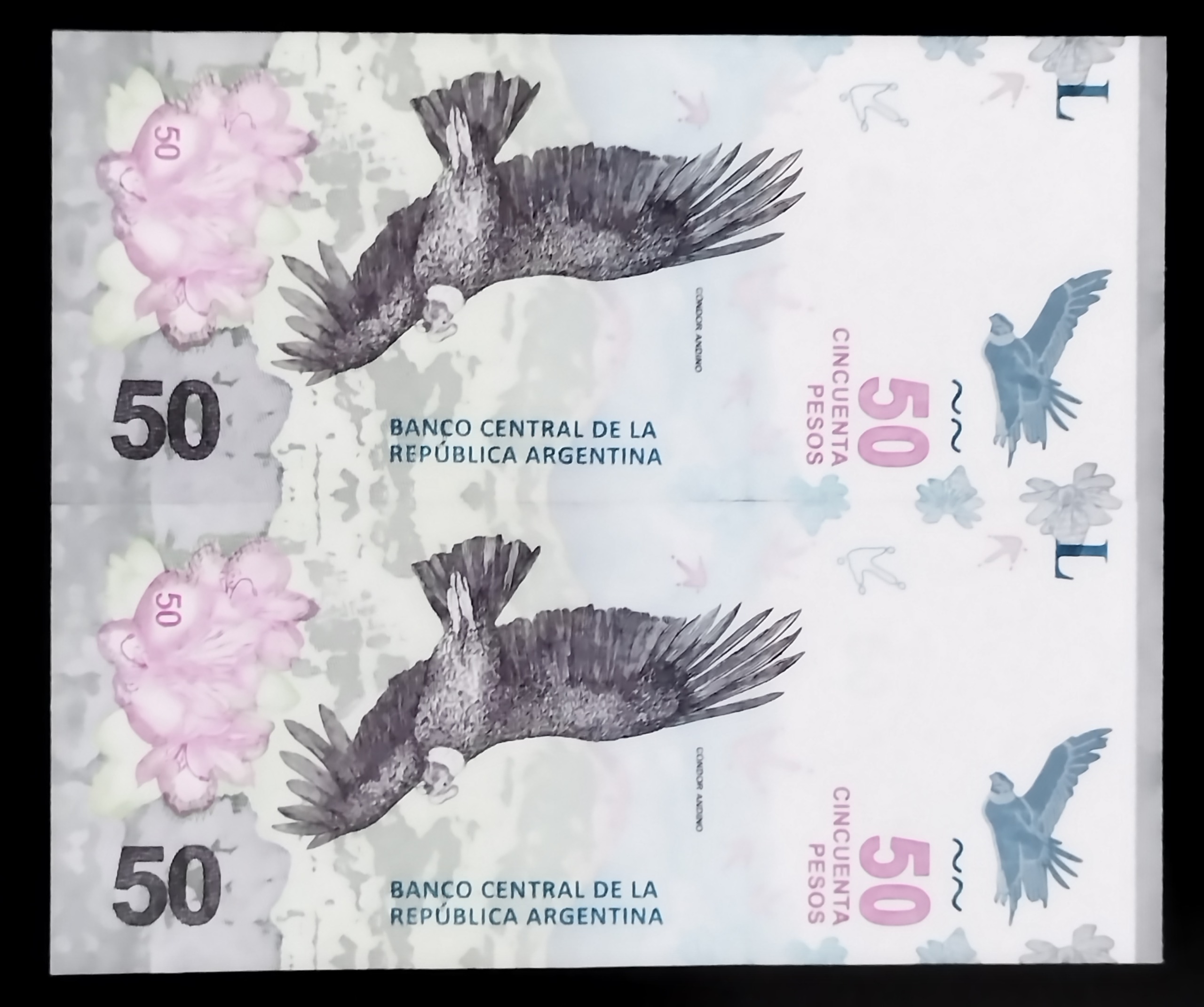 جفت اسکناس 50پزو آرژانتین یادبودی