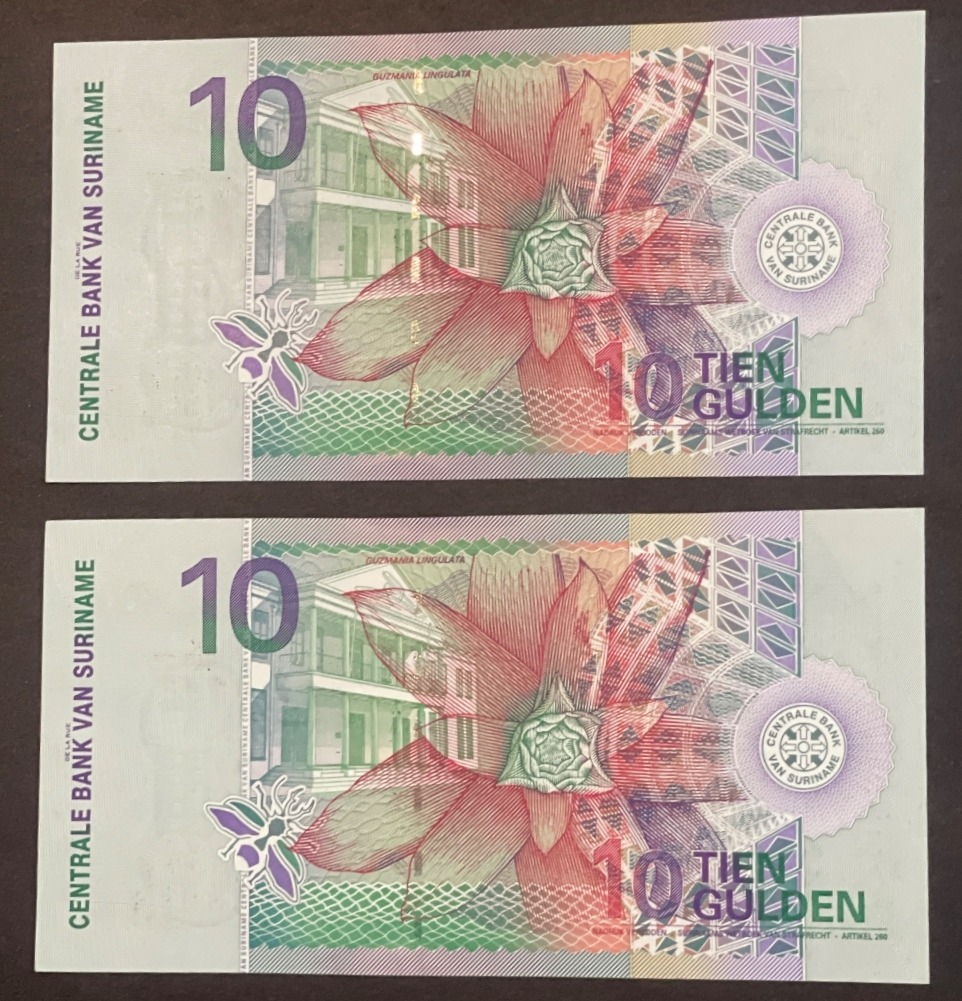 جفت سوپربانکی 10گلدن سورینا بسیار زیبا وتمیز