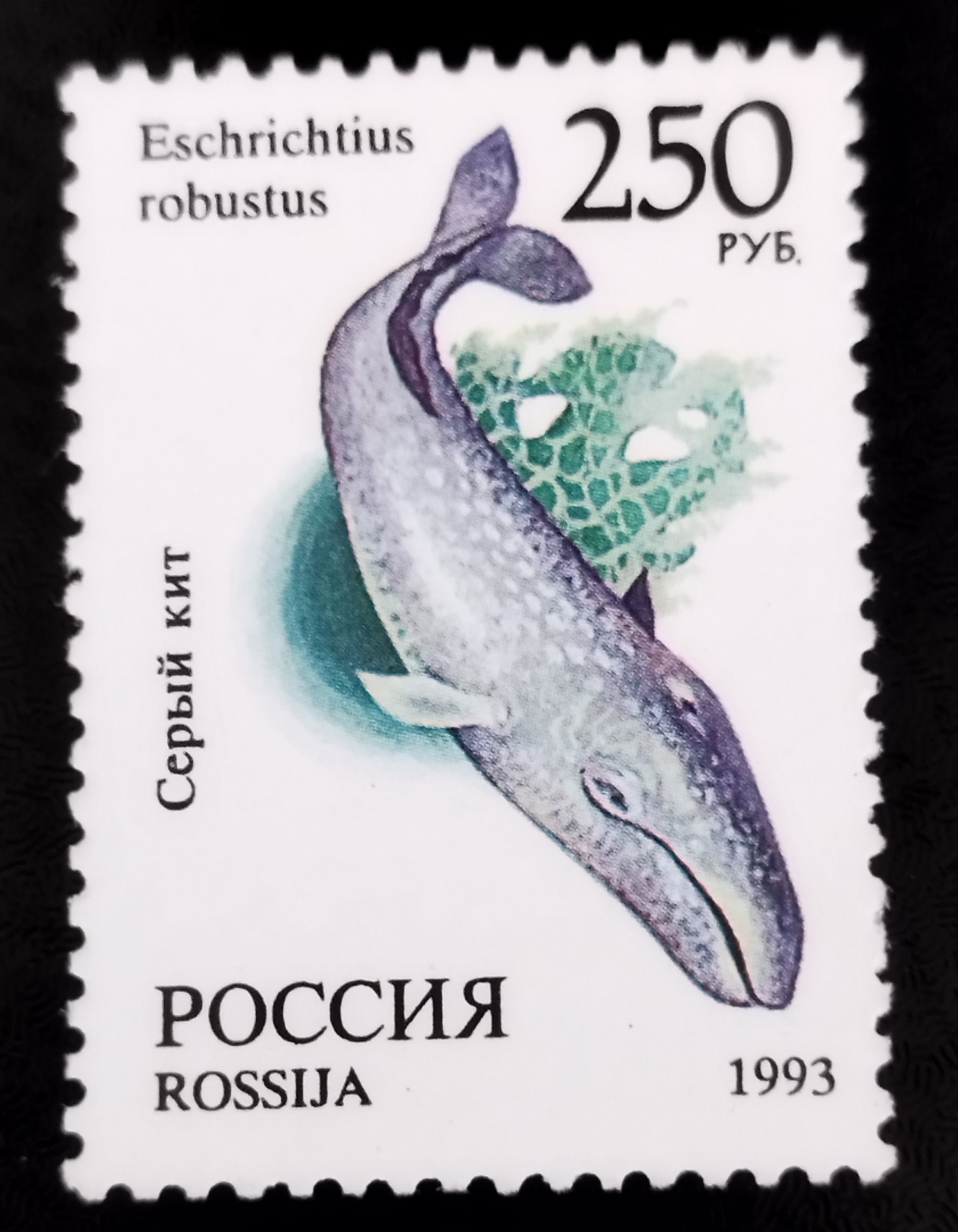 تمبر نفیس وارزشمند آبزیان روسیه