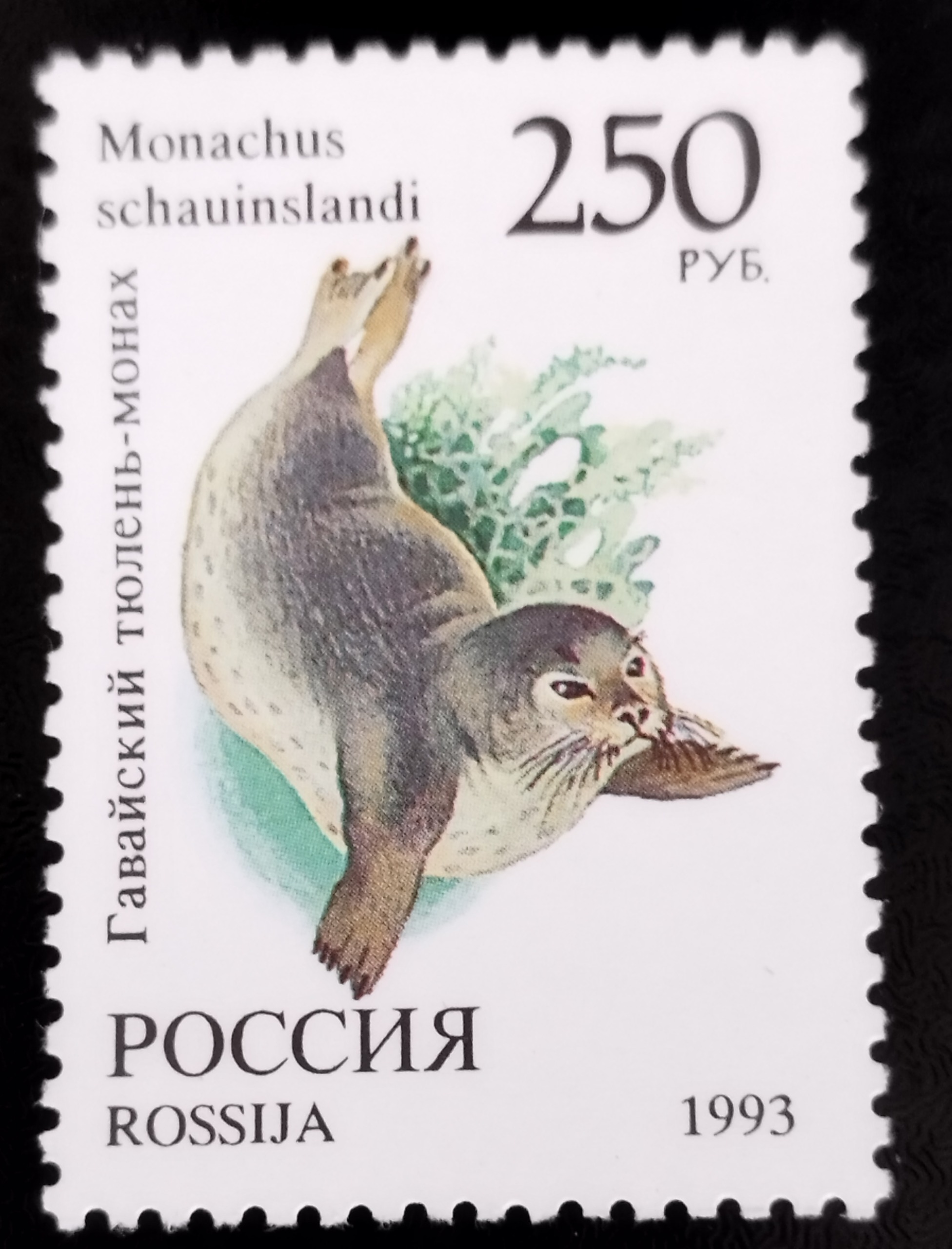 تمبر زیبا وارزشمند حیوانات روسیه