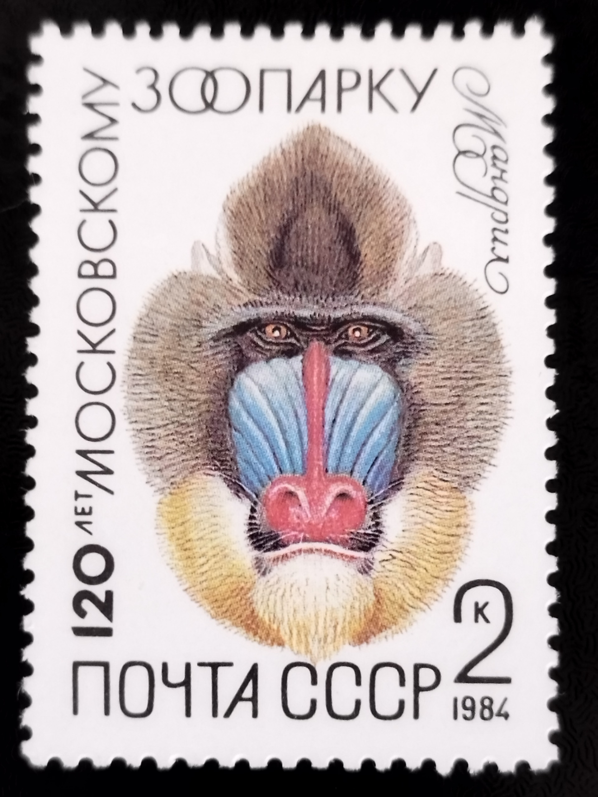 تمبر زیبا ونفیس حیوانات روسیه