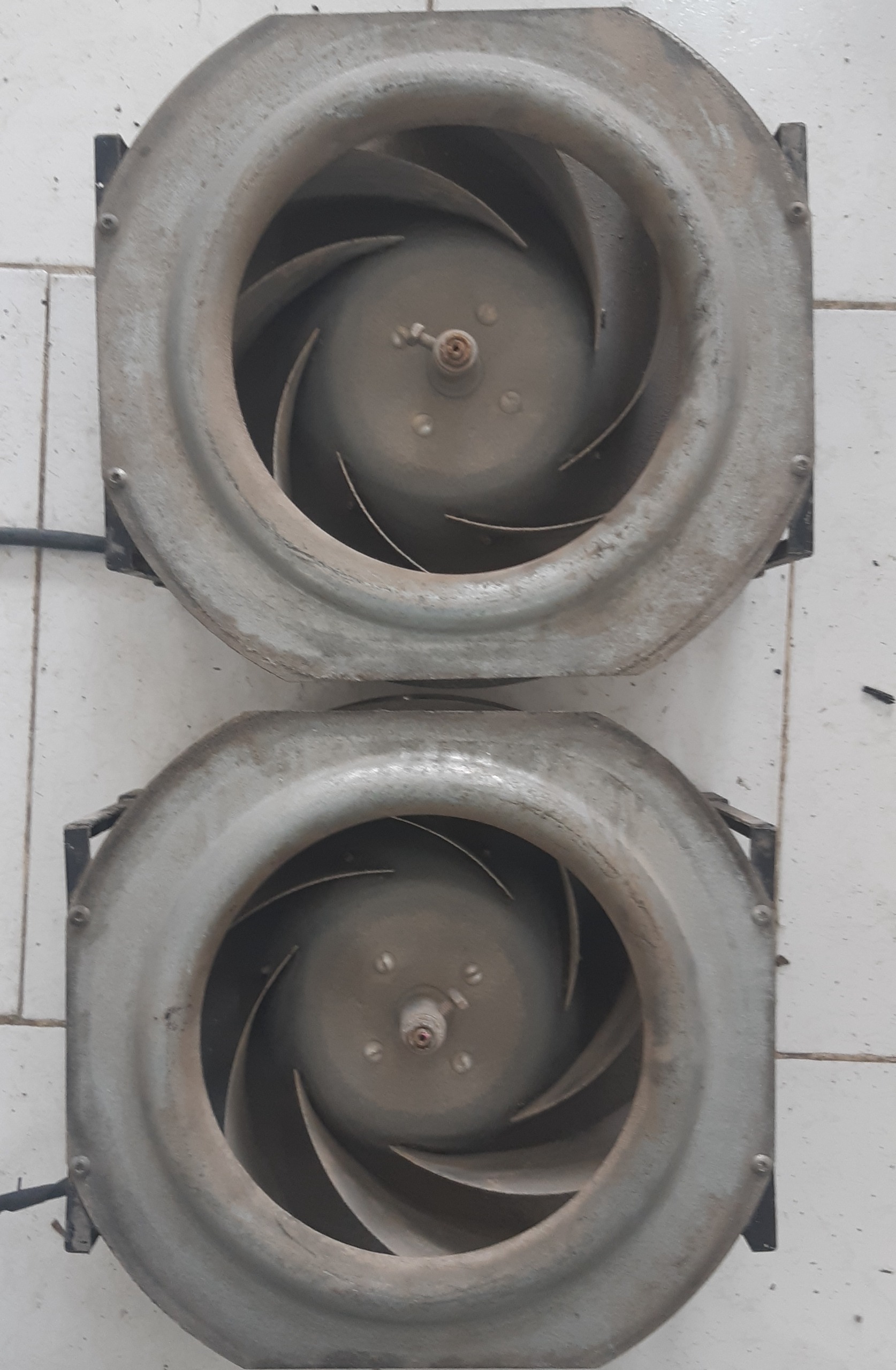 فن براشلس بزرگ