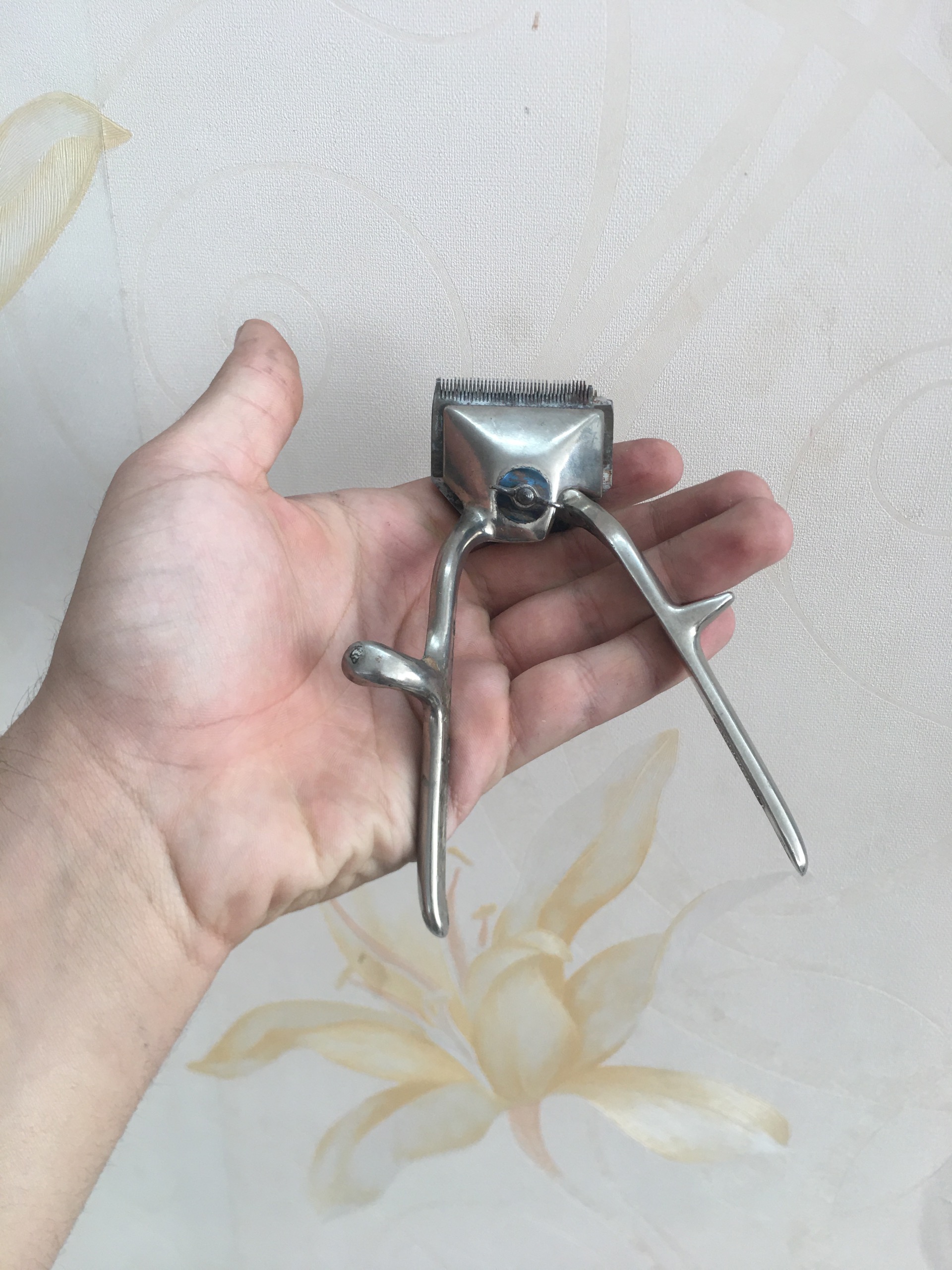ماشین سلمونی المانی