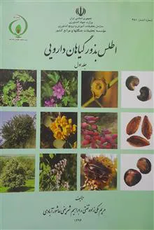 اطلس