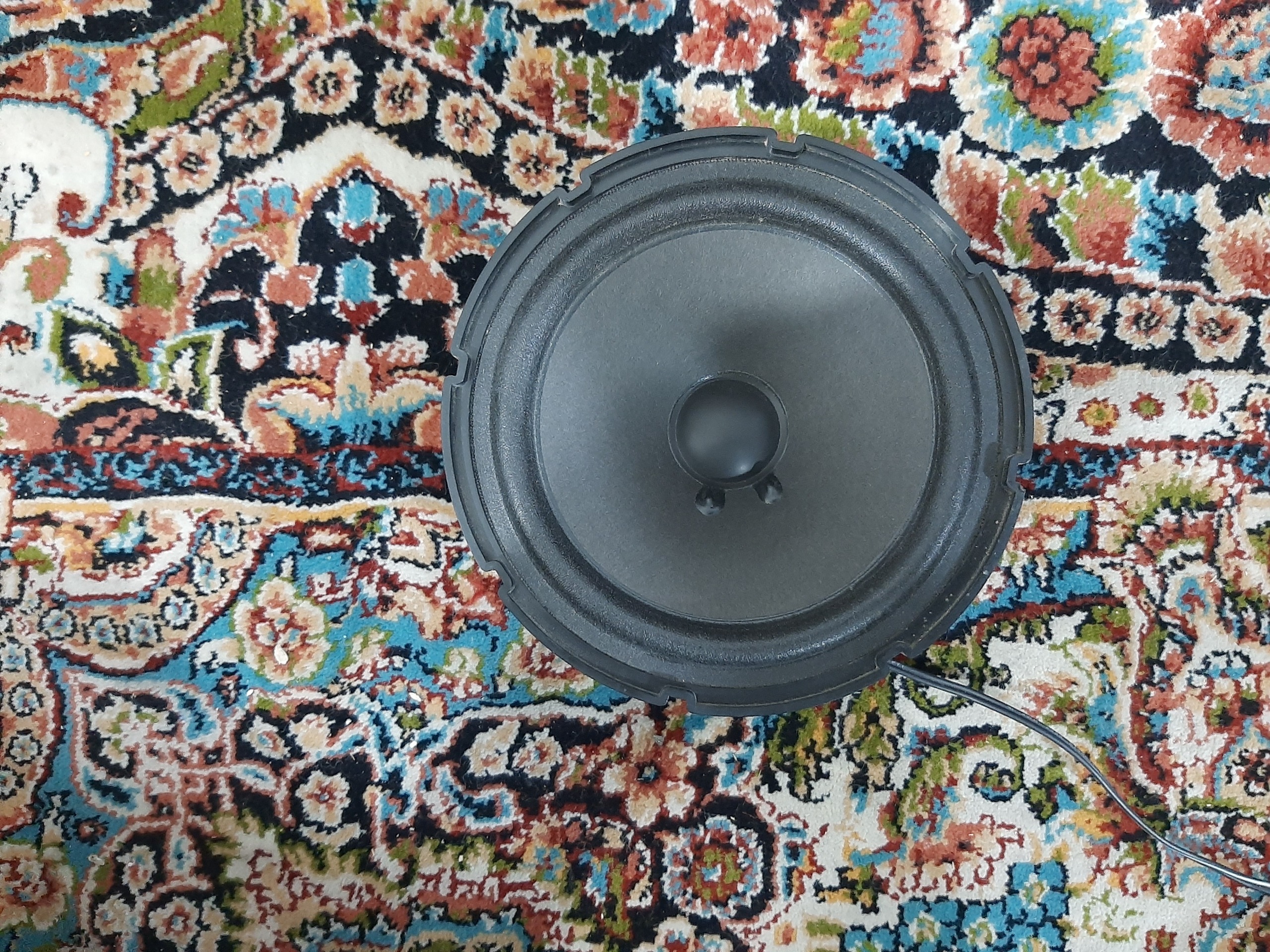 فول رنج آیوا خانگی