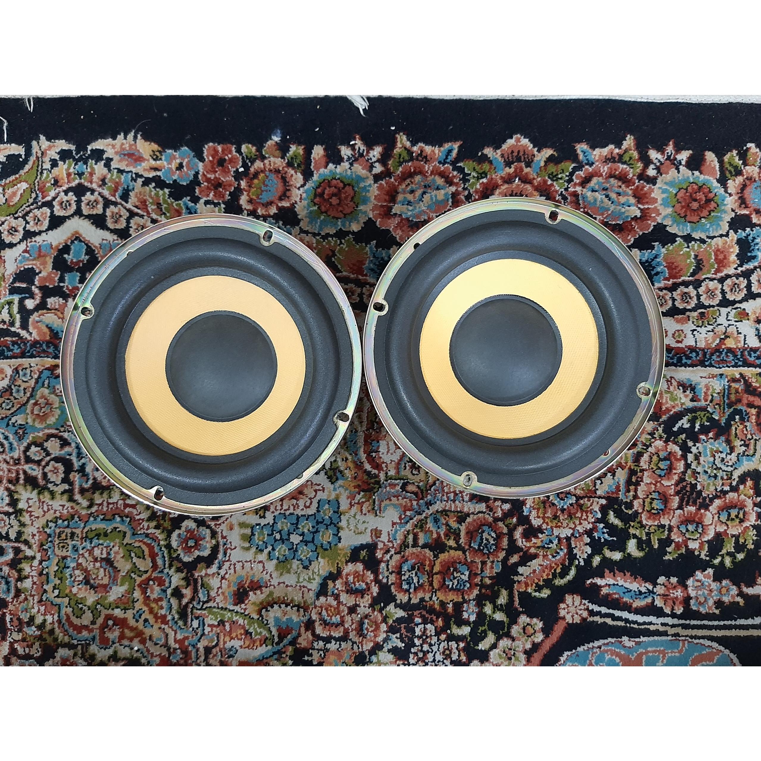 ساب ووفر پاناسونیک خانگی