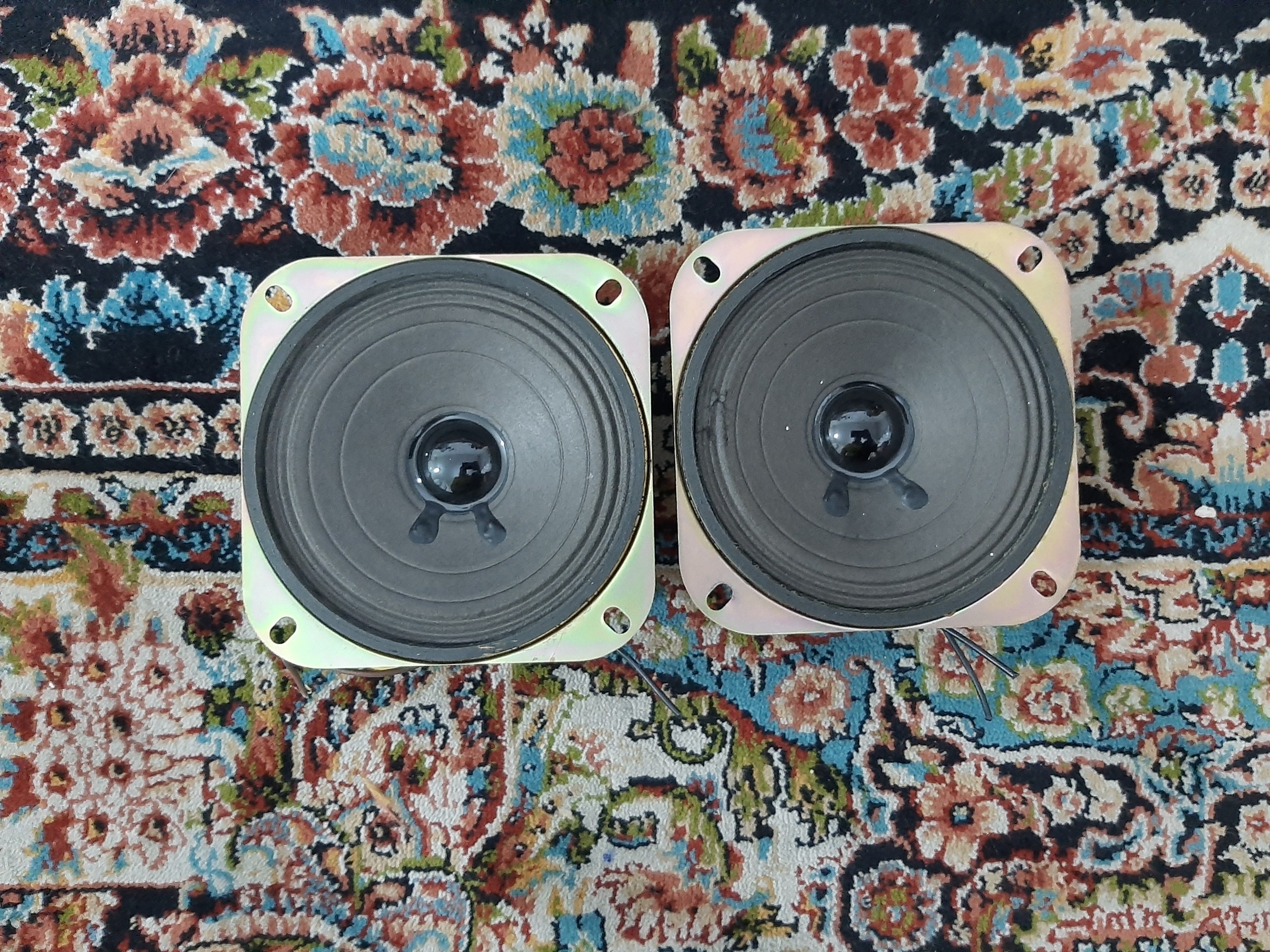 میدرنج MSD خانگی