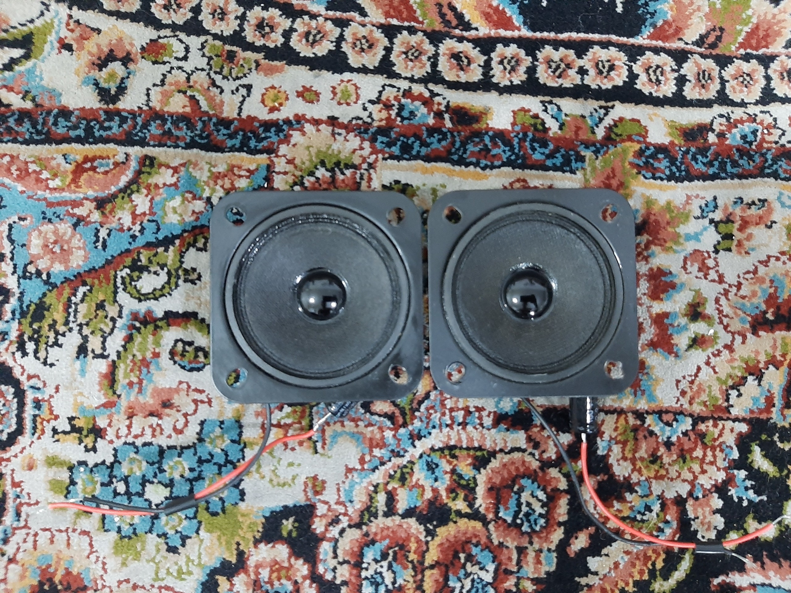 توییتر ZM بوش