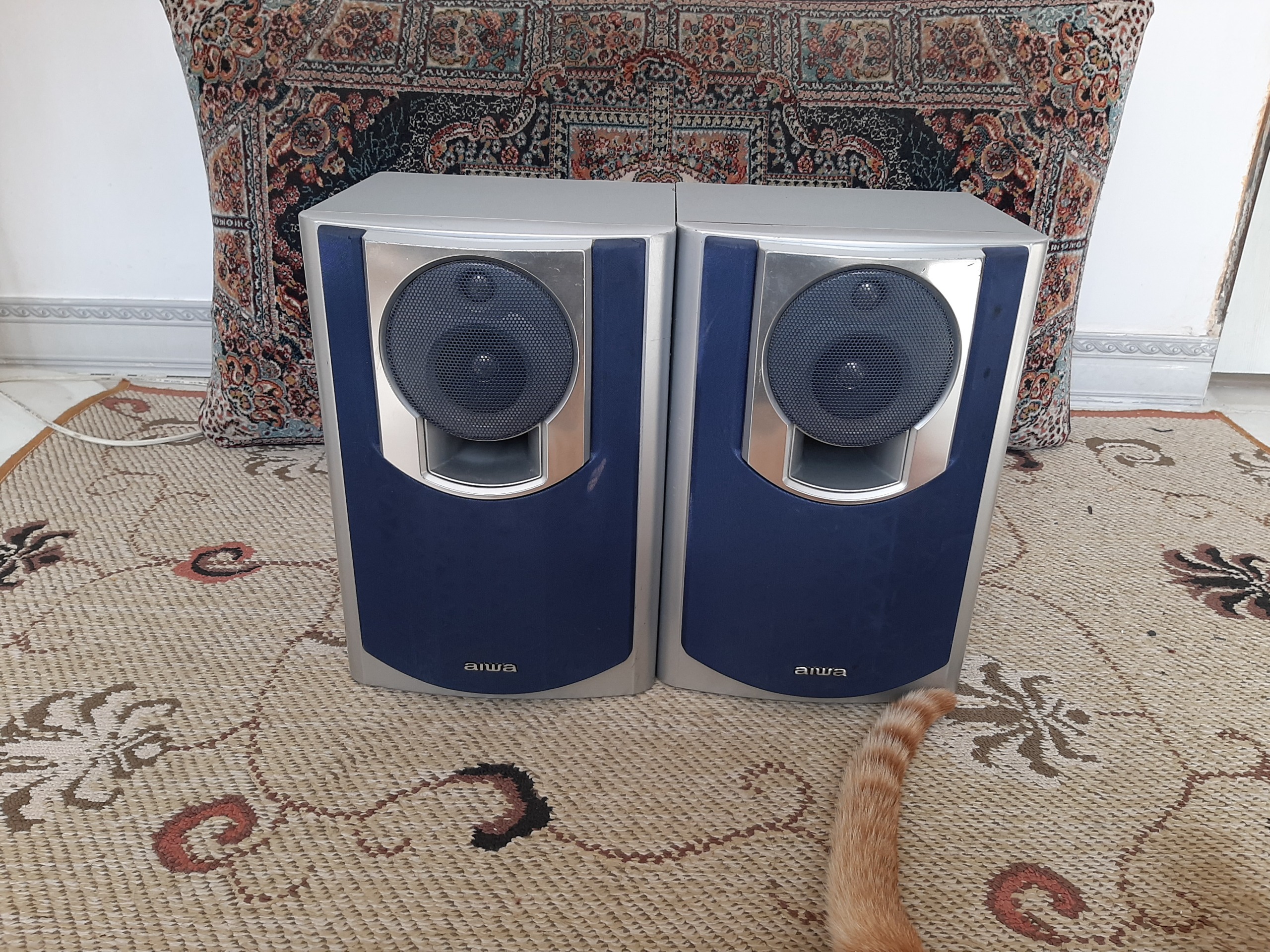 باند آیوا خانگی