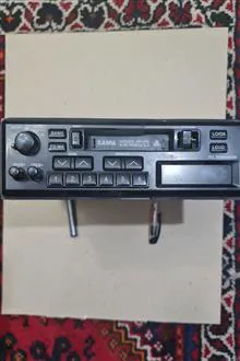 ظبط