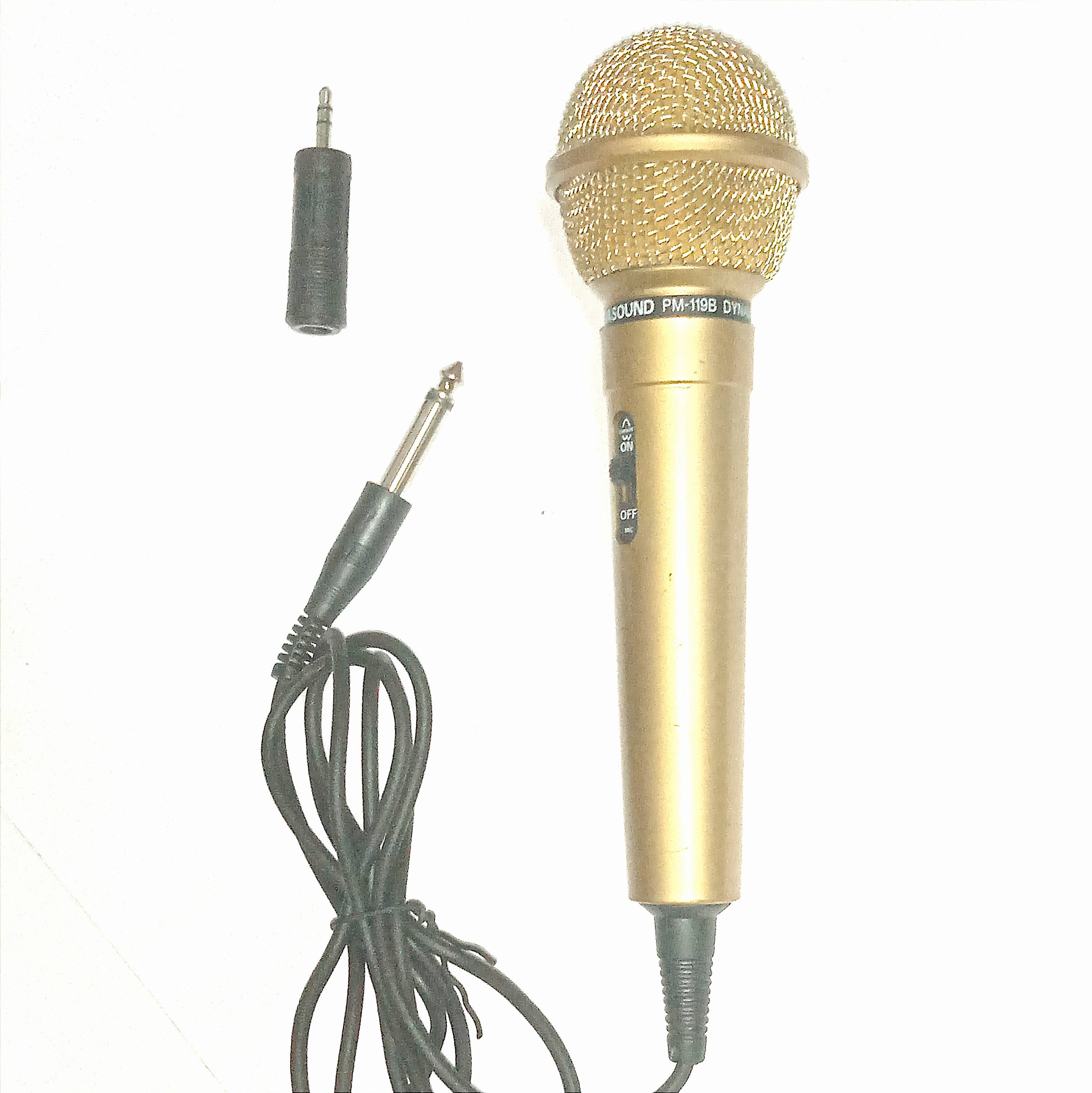 میکروفن باسیم Panasound Dynamic مدل DM PM119B