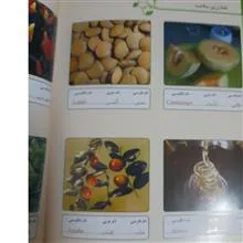 نامه