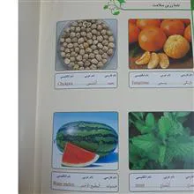 نامه