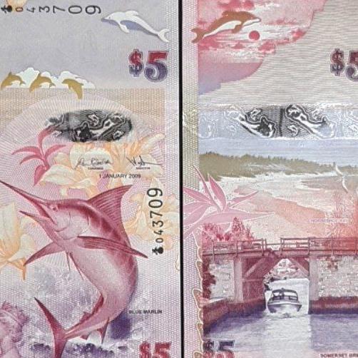 اسکناس تک بانکی 5 دلار برمودا 2009