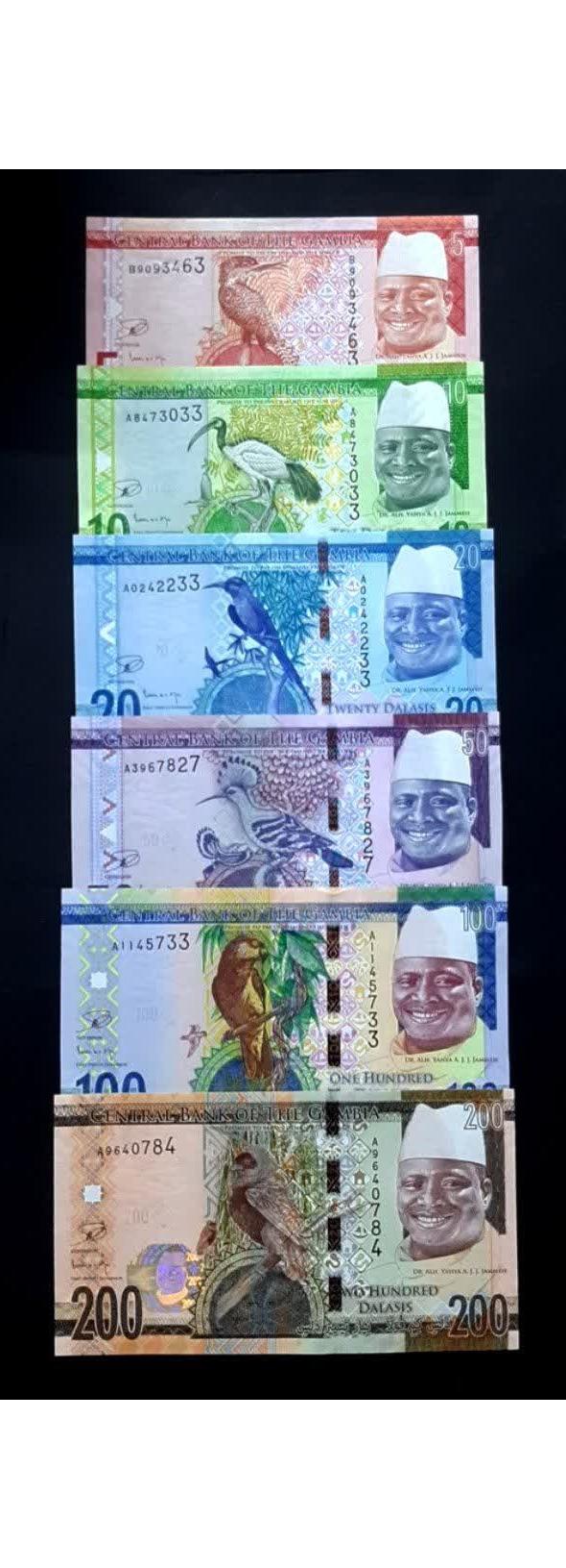 فول ست بانکی 5 تا 200 دالاسی گامبیا آفریقا توضیح