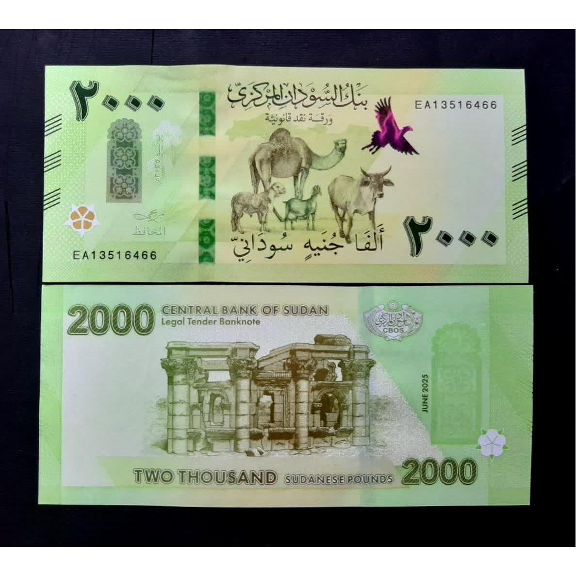 تک بانکی 2000 پوند سودان 2025 آفریقا جدید باارزش