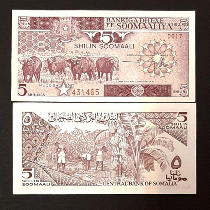 تک بانکی 5 شیلین سومالی 1987 آفریقا کلاسیک کمیاب
