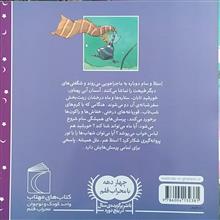 استلا-شاهزاده