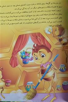 زیبو