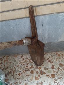 بیل