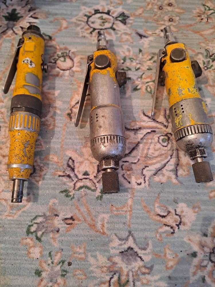 پیچگوشتی بادی تایوانی