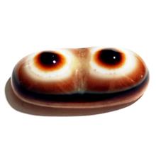 نگین