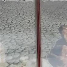 نوارکاست
