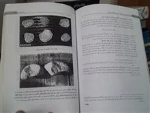 راهنمای