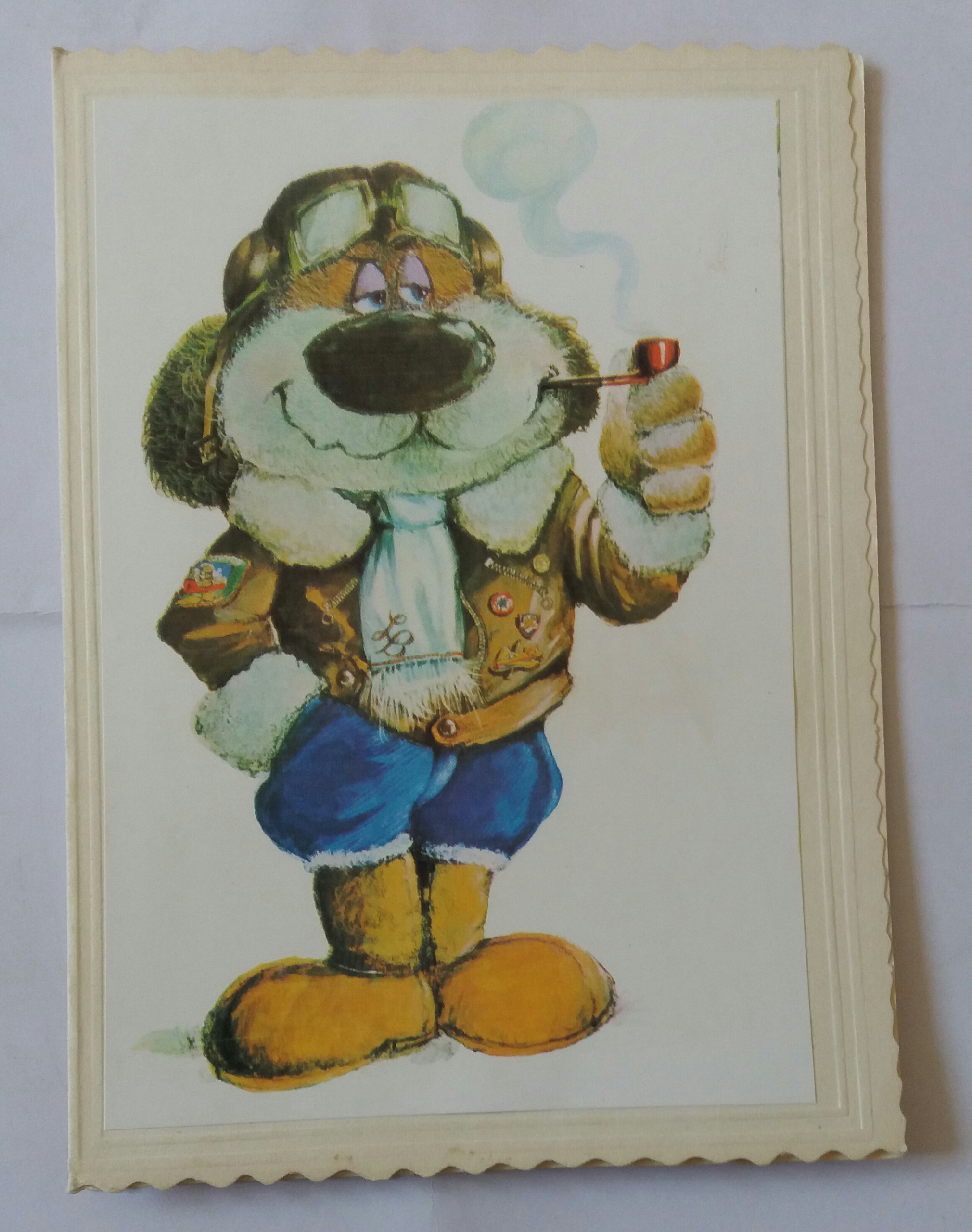 همراه با توضیحات کامل اندازه 12×16/5