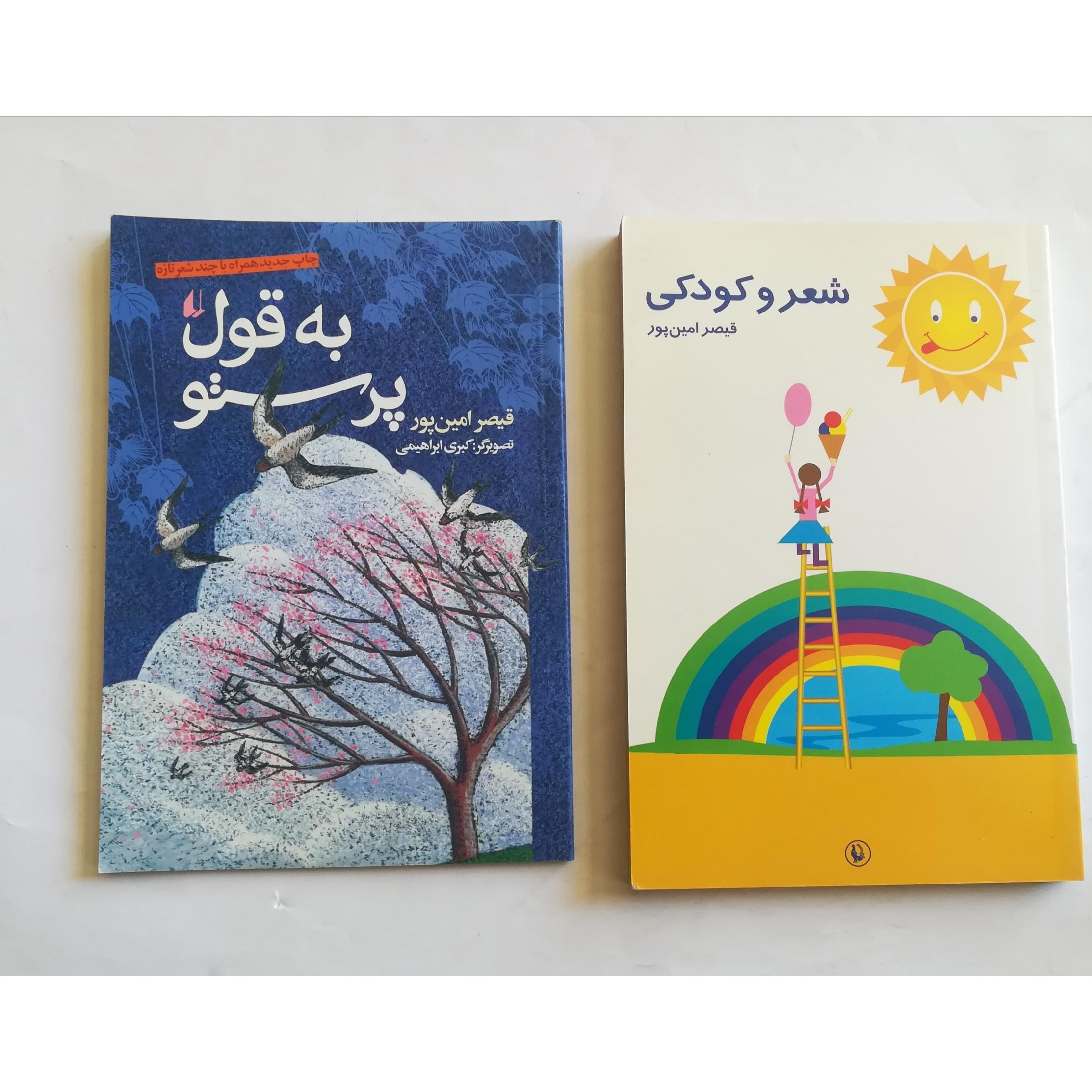 دو جلد کتاب از قیصر امین پور توضیح دارد