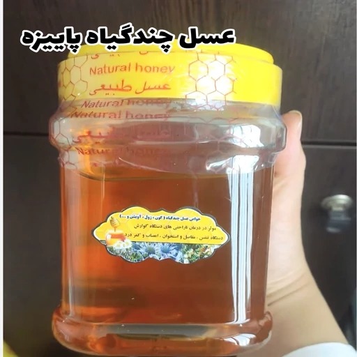 عسل چندگیاه پاییزه 1 کیلویی.دشتی.خرید از زنبوردار
