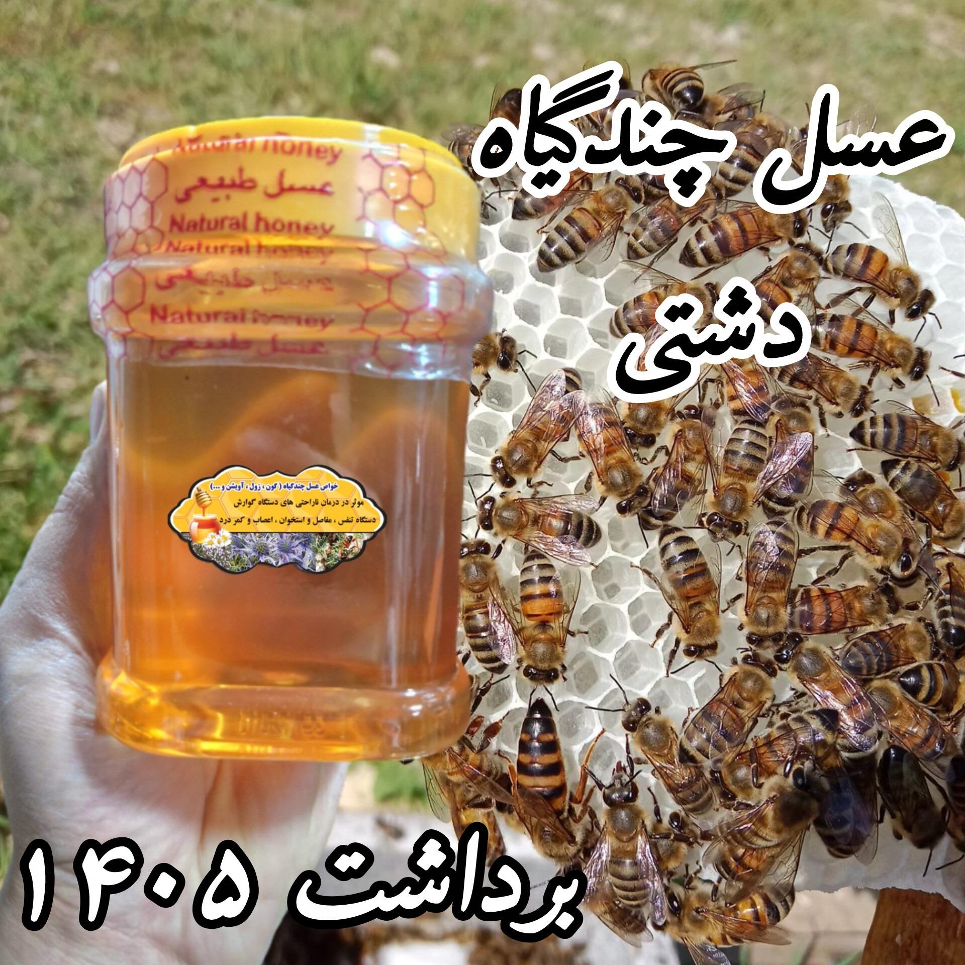 عسل چندگیاه پاییزه 1 کیلویی.دشتی.خرید از زنبوردار