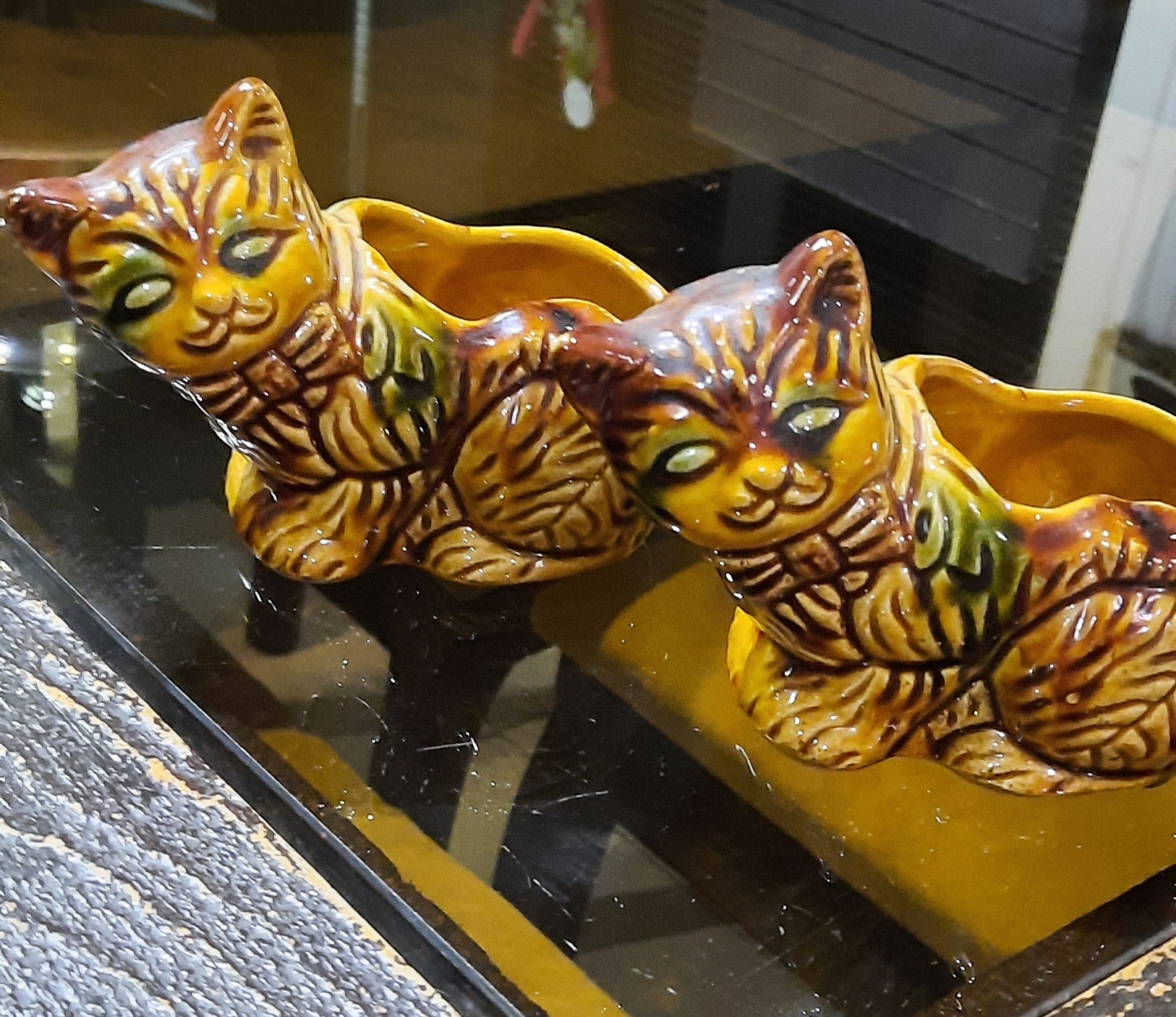 دوتا سس خوری گربه