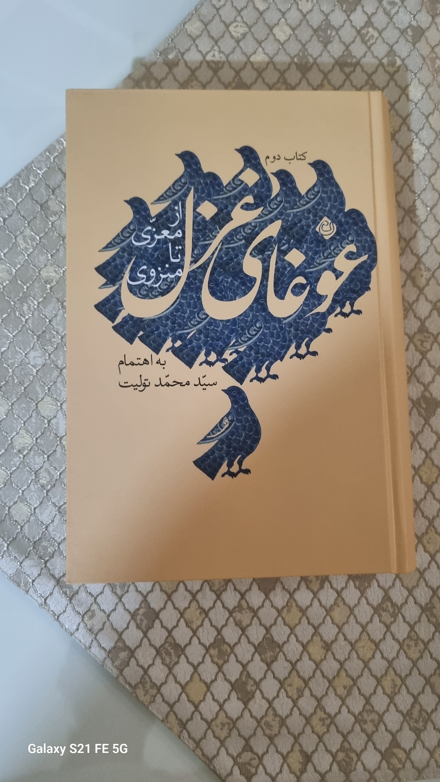 غوغای دو غزل