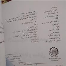 الاستیسیته