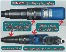 پیچگوشتی