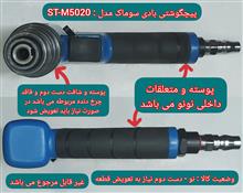 پیچگوشتی