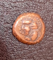 سکه
